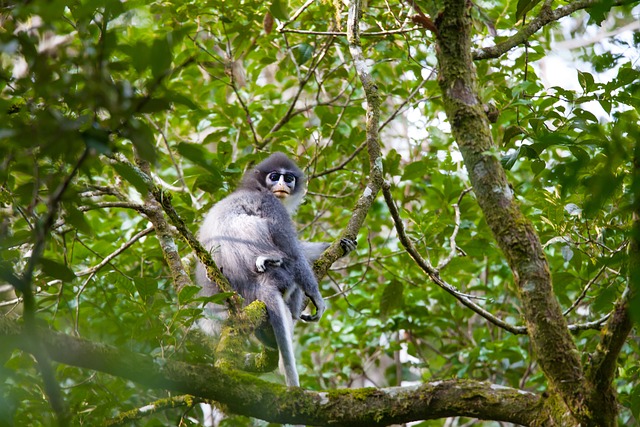 Version of Minecraft